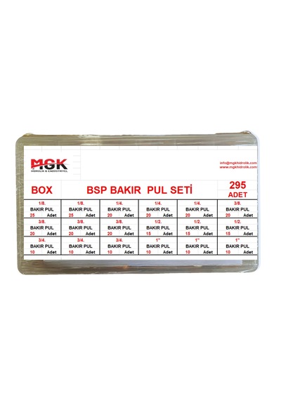Mgk Bakır Pul Seti Bsp 295 Adet