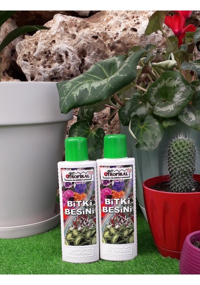 Genel Bitki Besini Iç Mekan Bitki Vitamini Gübre Yeşil Yaprak