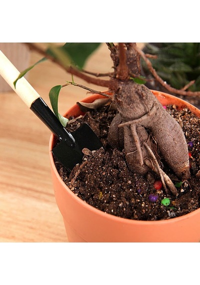 Ahşap Saplı Ev Bahçe Küreği Mini Tırmık 3'lü Set