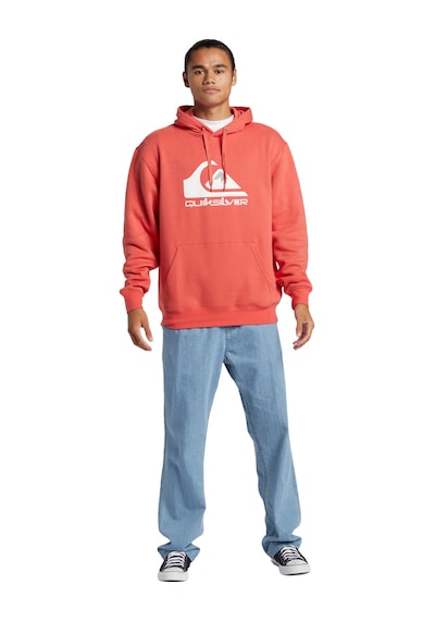 Quıksılver Quiksilver Big Logo Hoodie Erkek Sweatshirt 16263 Çok Renkli