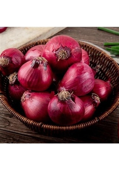 Ata Tohum Geleneksel Yüksek Aromalı Ata 19 Kırmızı Çorum Tipi Soğan Tohumu 50 Tohum