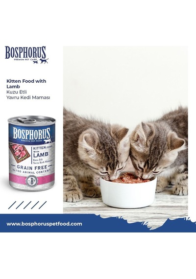 Bosphorus Kuzu Etli Küçük Taneli Yavru Kedi Konserve Maması 48 X 415 Gr Parça Etli