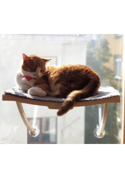 Ayrex Yeni Model Cam Ve Duvar İçin Kedi Yatağı Vantuzlu