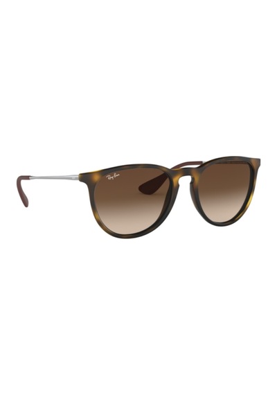 Ray-Ban Rb4171 865/13 3N Erika Degrade Kahve Erkek Güneş Gözlüğü