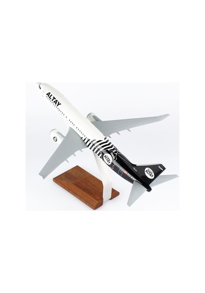 Thy037 1/100 Ölçek, Thy Altay Spor Logolu B737-800 Yolcu Uçağı, Sergilemeye Hazır Ahşap Standlı Model-56287