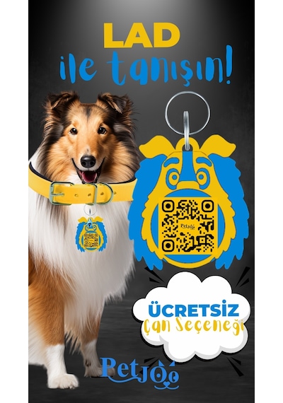 Petjoo 23.Lad Mavi-Sarı Qr'lı Köpek Künyesi