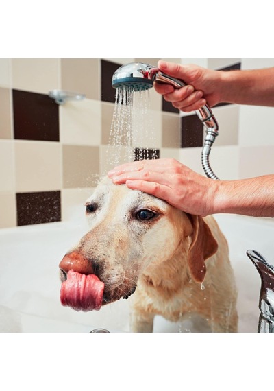 Tr Maracuja Shampoo Long Coat Uzun Tüylü Kedi Ve Köpekler İçin Çarkıfelek Meyveli Şampuan 500 Ml