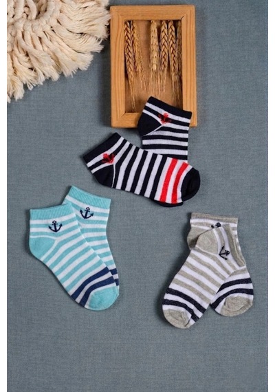 Cocole Socks Erkek Bebek Patik Çorabı 3 Lü Set Pamuklu Çapa Detaylı Çizgili Desenli Çok Renkli