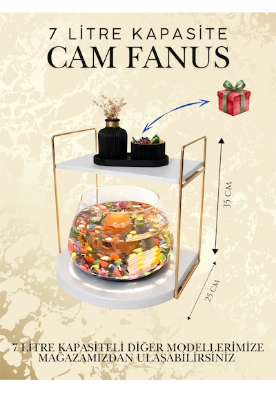 Işıklı Beta Balığı Akvaryum Ve Dekor Amaçlı Cam Fanus Mini Akvaryum