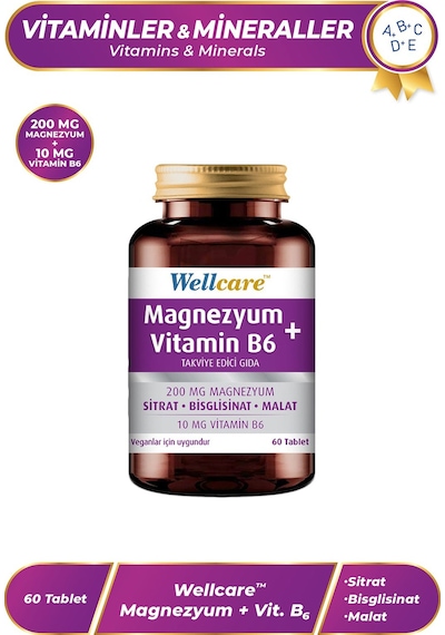 Wellcare Magnezyum + Vitamin B6 60 Tablet
