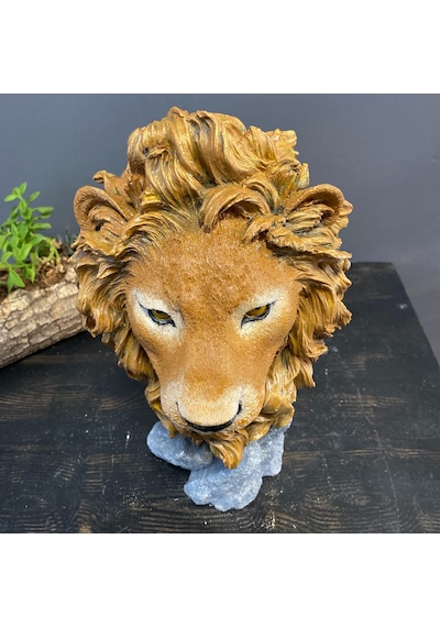 Aslan Başı Aslan Kafası Büst