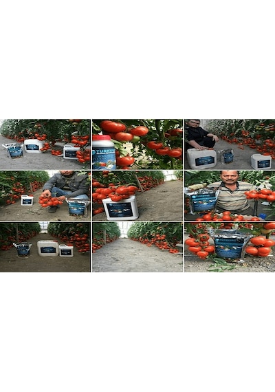 500 ML Turkuvaz Bat Power Organik Sıvı Yarasa Gübresi