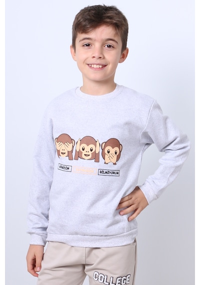 Hçm Erkek Çocuk Şardonlu Sweat Karakter Baskılı Ribanalı E34 Gri