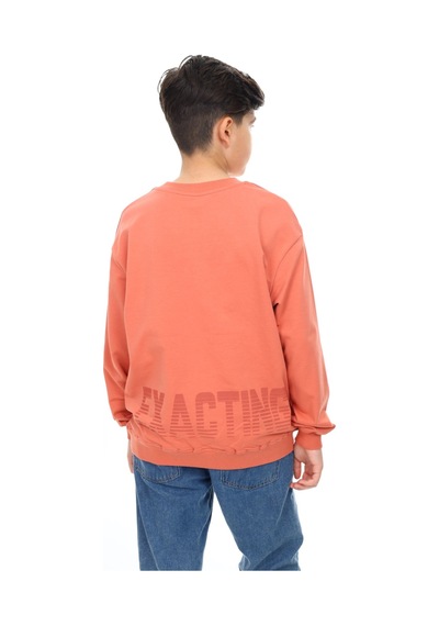 Toontoy Erkek Çocuk Baskılı Sweatshirt Kiremit