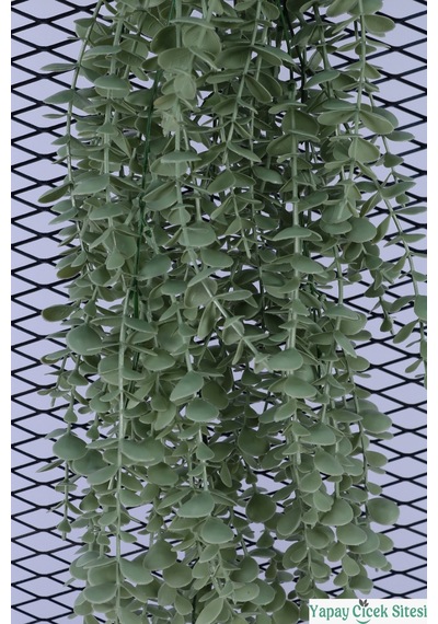 Yapay Çiçek Sitesi Yapay Yuvarlak Yapraklı Okaliptus Peperomya Sarmaşığı 90 Cm Açık Yeşil