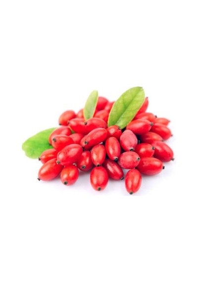 Gojiberry Fidanı 1 Adet