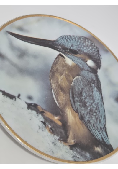 Kahla Vintage Yalıçapkını Temalı Porselen Duvar Tabağı 19,5cm 003