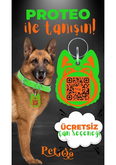 Petjoo 24.Proteo Turuncu-Yeşil Qr'lı Köpek Künyesi