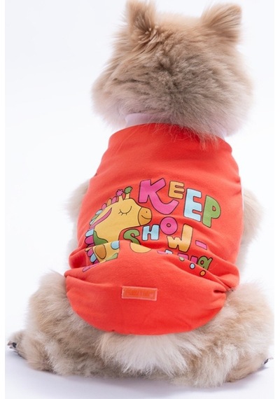 Turuncu Keep Show-ıng Up Tişört Kedi Köpek Tişörtü-kedi Köpek Kıyafeti Xl