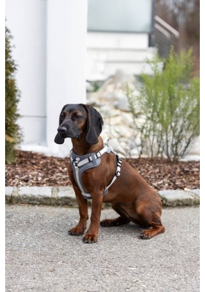 Y Tipi Spor Köpek Göğüs Tasması 20 Mm 38-62 / 58-74 Cm - Fitty Serisi - M Gri