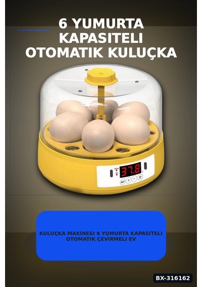 Kuluçka Makinesi 6 Yumurta Kapasiteli Otomatik Çevirmeli Ev Tipi Elektrikli Bx-316162