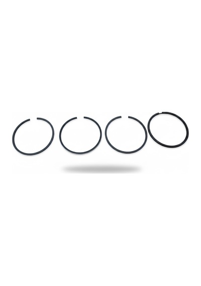 Antor 6ld325 Segman Takımı 1,00mm 79mm
