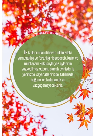 Vivaldi Serisi %100 Doğal Büyülü Yapraklar Zeytinyağlı Sıvı El Sabun Nemlendirici Bitkisel 500 Ml Çiçek