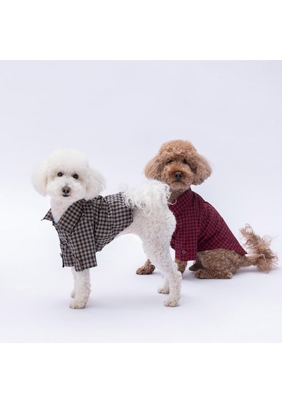 Kırmızı Luss Kedi Köpek Gömleği - Kedi Köpek Kıyafeti