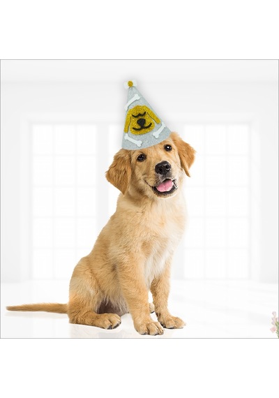 Köpek Doğum Günü Şapkası