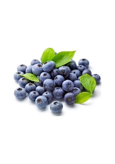 Tüplü Yaban Mersini likapa.blueberry.maviyemiş  Fidanı