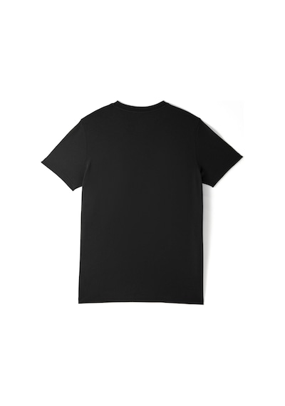 Galatasaray Lisanslı 5 Yıldız Büyük Logolu Siyah T-shirt Aslan Ahşap Kutulu E251402