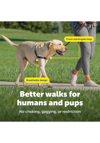 Easy Walk No-pull Köpek Göğüs Tasması, Çekmeyi Önlemeye Yardımcı, Kontrolü Ele Alın Ve Tasmayla Daha İyi Yürümeyi Öğretin, Large, Sarımsı Turkuaz/gri