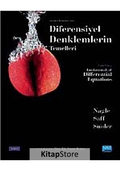 Diferensiyel Denklemlerin Temelleri / R. Kent Nagle