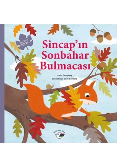 Sincap’ın Sonbahar Bulmacası – Doğada Bir Yıl