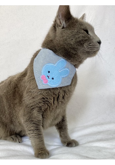 Kemique Blue Bunny Bandana Fular Kedi Kıyafeti