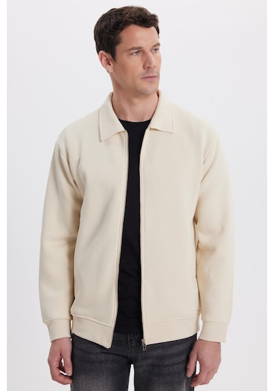Tudors Unisex Relax Fit Rahat Kesim Pamuklu İç Polarlı Fermuarlı Bej Polo Yaka Flato Cepli Sweatshirt Hırka-41998 Bej