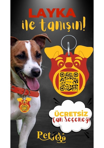Petjoo 22.Layka Sarı-Kırmızı Qr'lı Köpek Künyesi