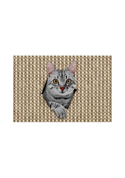 Kedili Kapı Önü Halı Paspas 40 X 60 Cm Kahverengi2 - 931782022 Kahverengi2