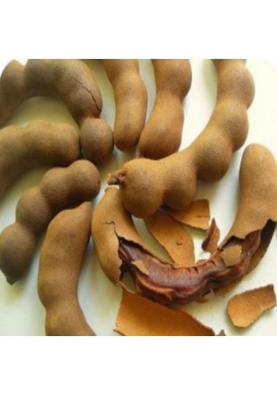 10 Adet Tamarind Demirhindi Tohumu Taze Tohum