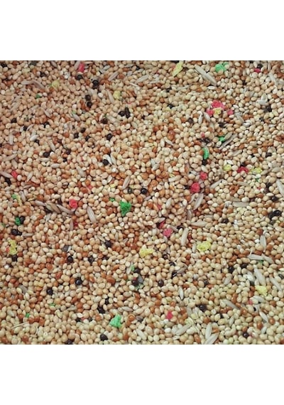 Karışık Muhabbet Kuşu Yemi 1 Kg
