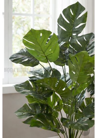 Biçiçek Yapay Monstera Deve Tabani 60 Cm Krem Yakut Saksıda