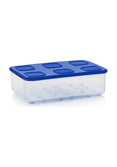 Tupperware Şeffaf Kap 162L Lacivert 7692215448498 Çok Renkli