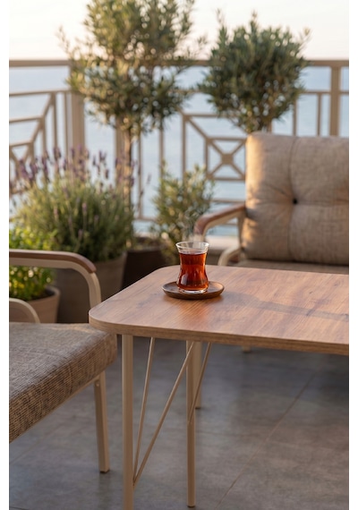 Ekon Serisi 1. Sınf 3+1+1 Ve 1 Adet Orta Sehpa 2 Yastıklı Bahçe Balkon Oturma Koltuk Takımı Cappucino İskelet Cappucino Minder Ekon Serisi 1. Sınf 3+1+1 Ve 1 Adet Orta Sehpa 2 Yastıklı Bahçe Balkon Oturma Koltuk Takımı Cappucino İskelet Cappucino Minder