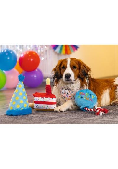 Hnrlıshp Beeztees Köpek Oyuncağı, Parti Balonu, Peluş, Mavi, 39x13x7,5cm