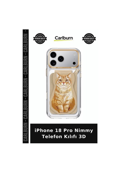 İphone 18 Pro Nimmy Telefon Kılıfı 3d Model Günlük çok renkli