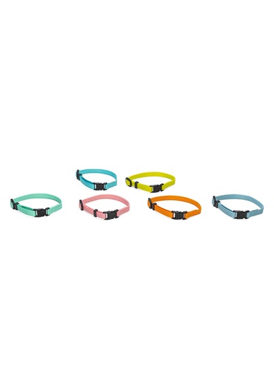 Hnrlıshp Beeztees Yavru Köpek Boyun Tasması, Çeşitli Renklerde, 17-25cm, 10mm Çok Renkli