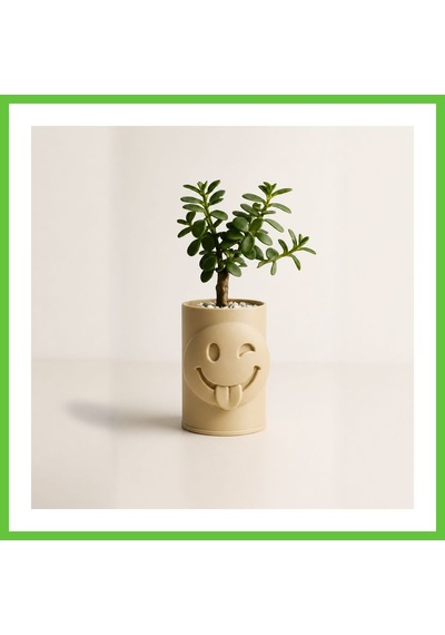 Bezos 3d Baskı Emoji Planter - Göz Kırpan Yüzlü Sukulent Saksısı-bej Dmc