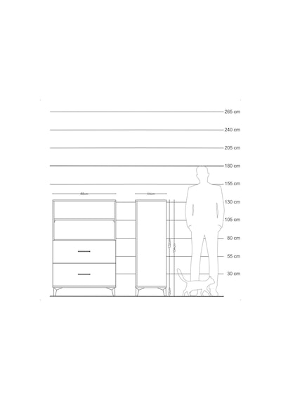 Hyperion Dolap 2 Raflı 2 Çekmeceli 88x44x134 Çam-antrasit Atlas Çam
