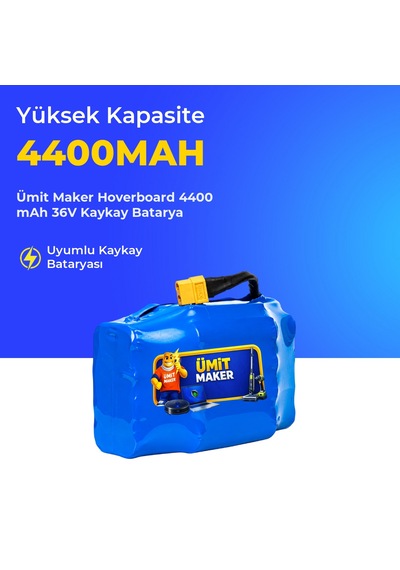 Hoverboard 4400 Mah 36v Kaykay Batarya