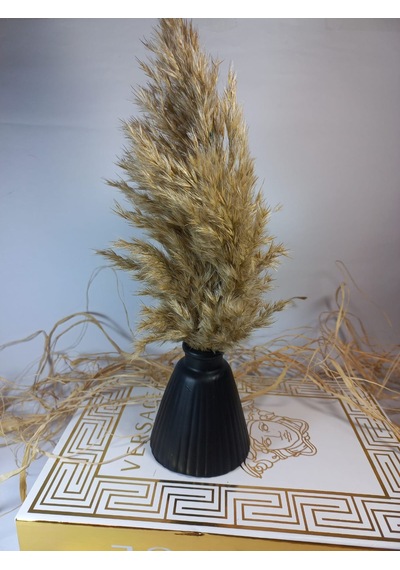 Pampas Vazosu Siyah